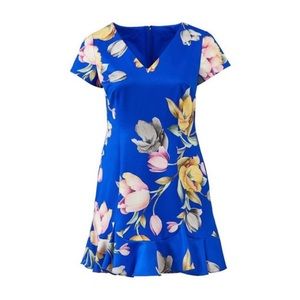 Adrianna Papell Dress